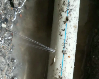 特克斯卫生间测漏水多少钱