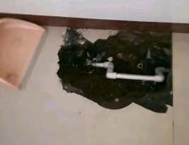 特克斯卫生间测漏水多少钱